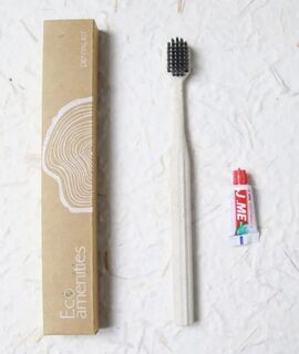Dental Kit